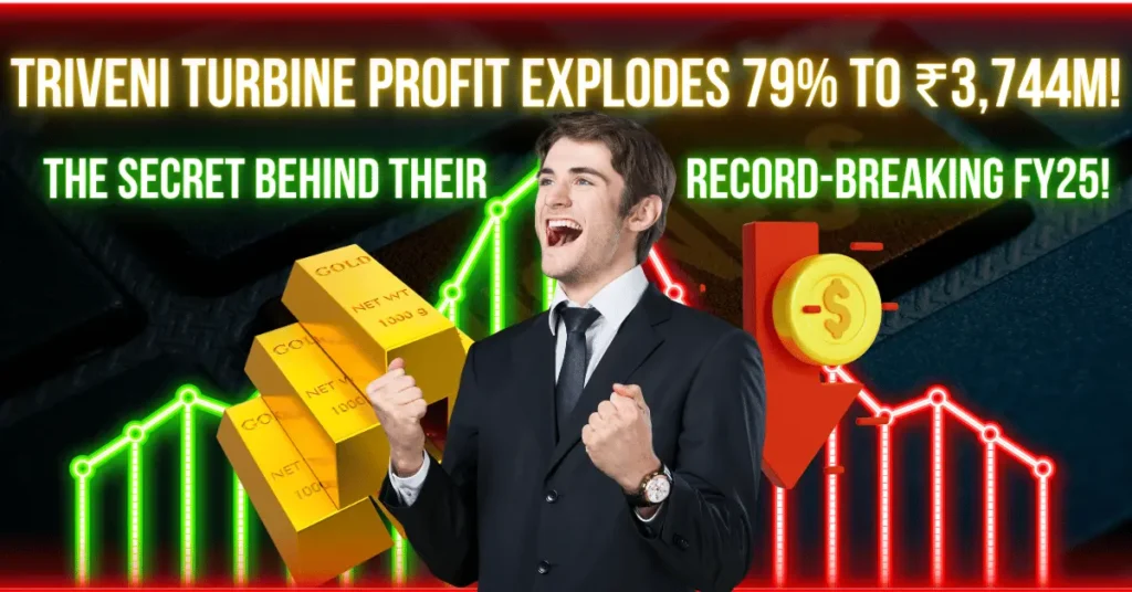 Triveni Turbine profit analysis